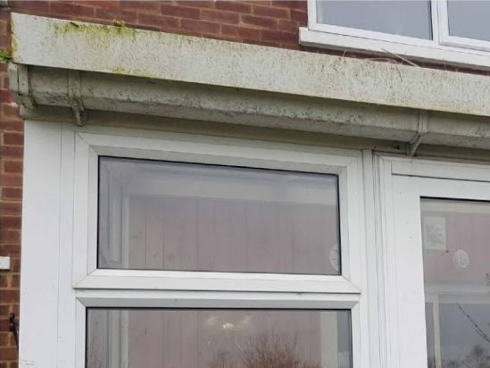The fascia before cleaning, green with algae